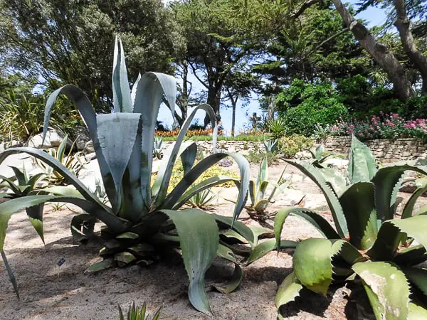 Botanic Garden Georges Delaselle, Ile de Batz
