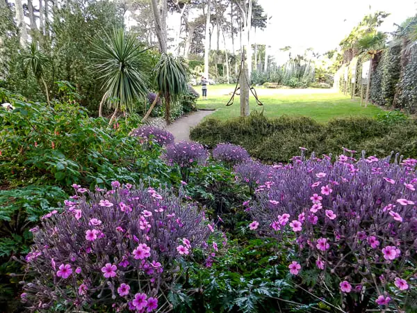 Garden Georges Delaselle, Ile de Batz, Brittany