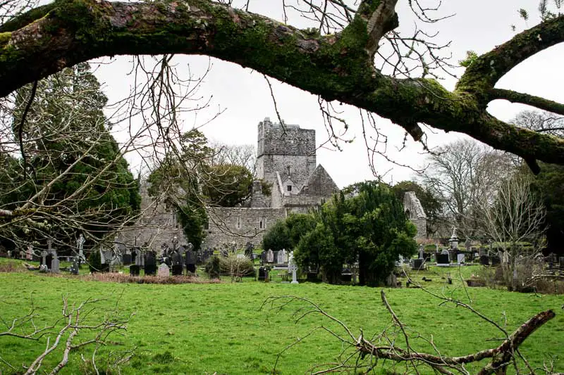 Muckross Abbey, Killarney
