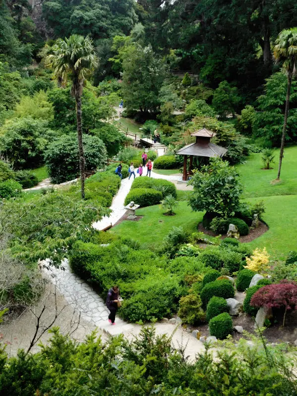 Powerscourt Japanese Garden, Wicklow