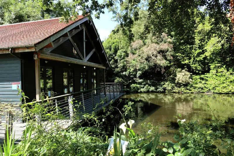 Boathouse Cafe, Phoenix Park, Dublin