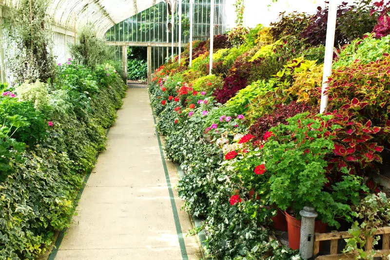 Jardin botanique, Belfast