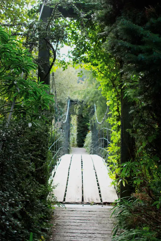 Suspension Bridge, Mount Usher Gardens, Wicklow