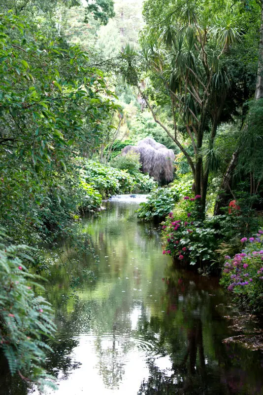 River Vartry in Mount Usher Gardens, Wicklow