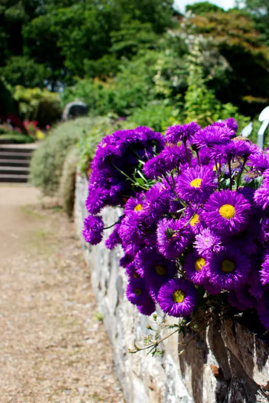 Garden, Ardgillan Castle