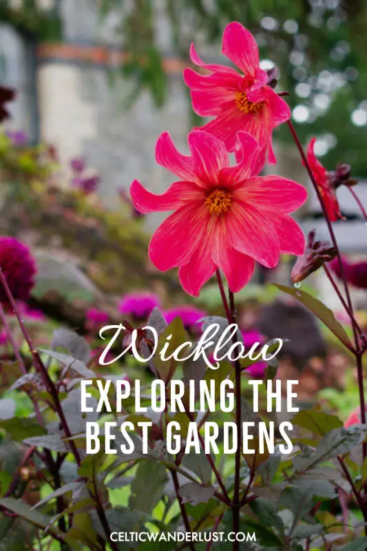 Gardens to Visit in Wicklow | 5 Botanic Havens to Explore