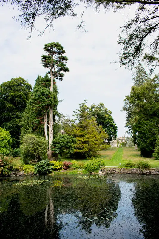 Pond, Kilmacurragh Arboretum, Wicklow