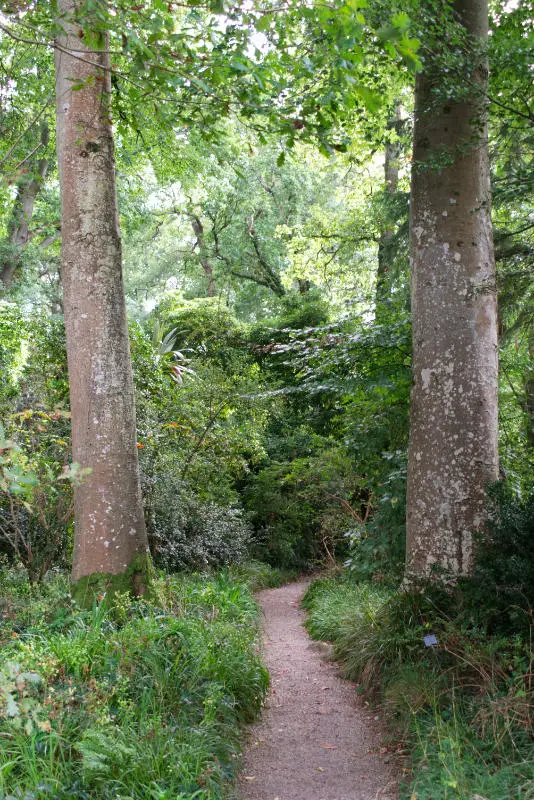 Path in Mount Usher Gardens, Wicklow