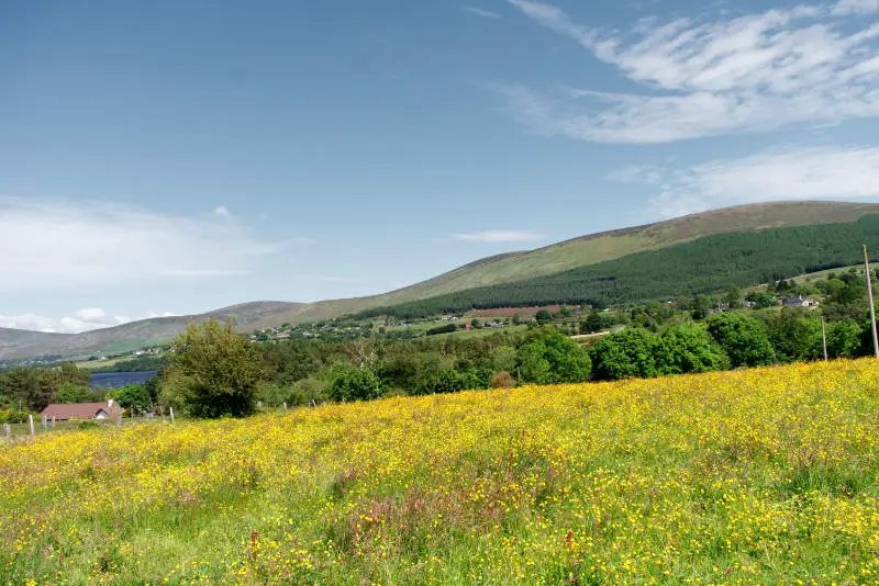 The Blessington Lakes, Co. Wicklow