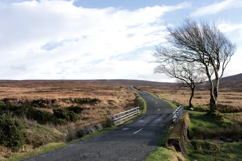 Sally Gap, Wicklow