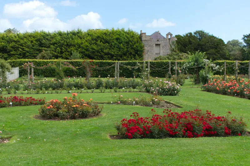 Rose Garden, Ardgillan Castle, Ireland