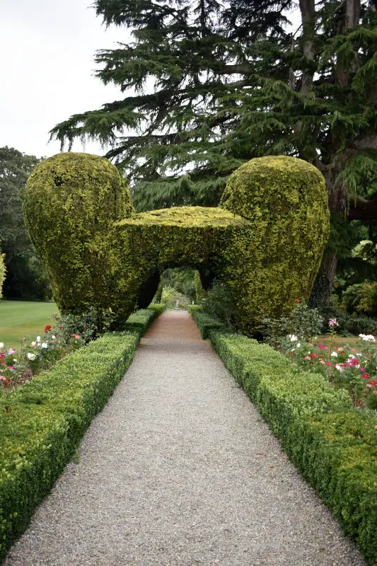 Manicured edge in Altamont Gardens in Co. Carlow, Ireland