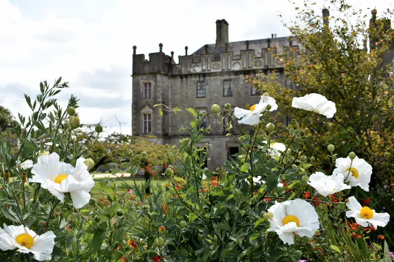 Borris House in Co. Carlow, Ireland