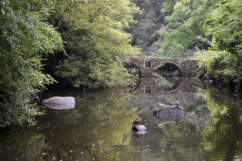 Pont de pierre sur le lac des jardins d'Altamont dans le comté de Carlow