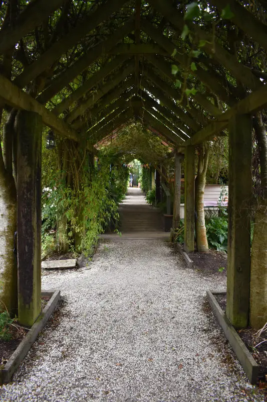 Path to the Café in Altamont Gardens, Carlow