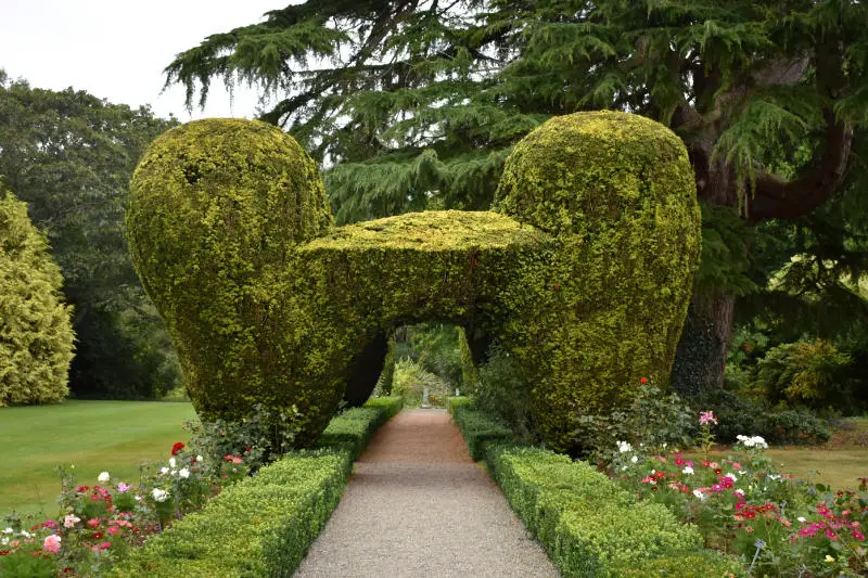 Altamont Gardens in County Carlow