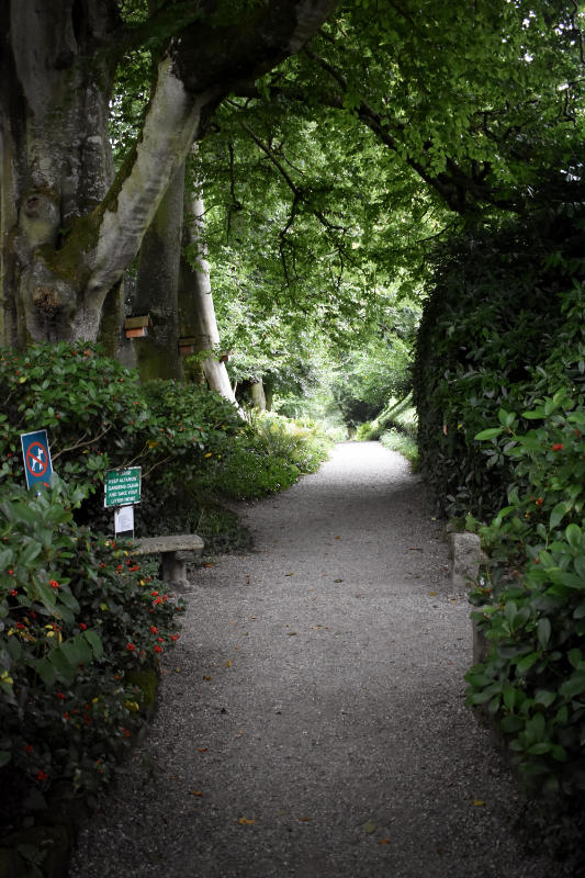 Sentier dans les jardins d'Altamont en Irlande