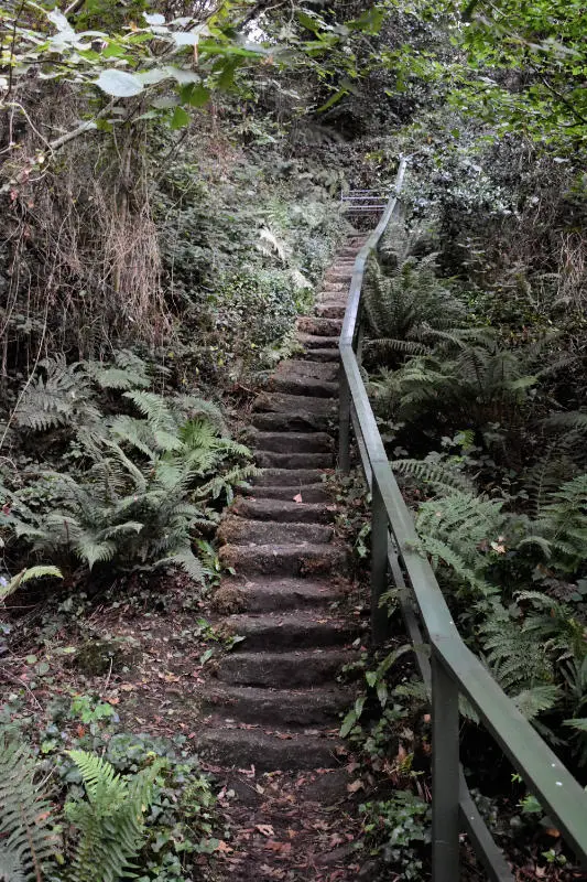 Stairs in Altamont Gardens, Co. Carlow