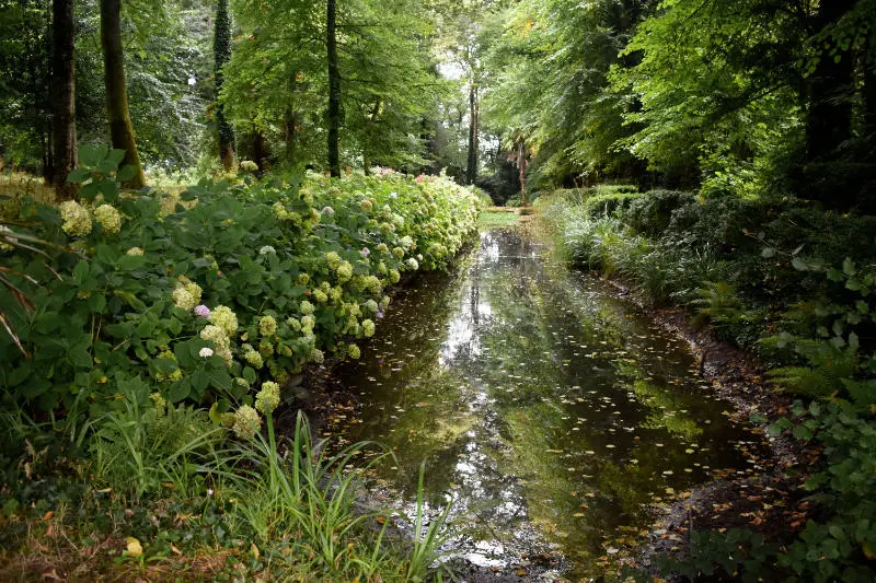 Pond in Huntington Castle, Carlow