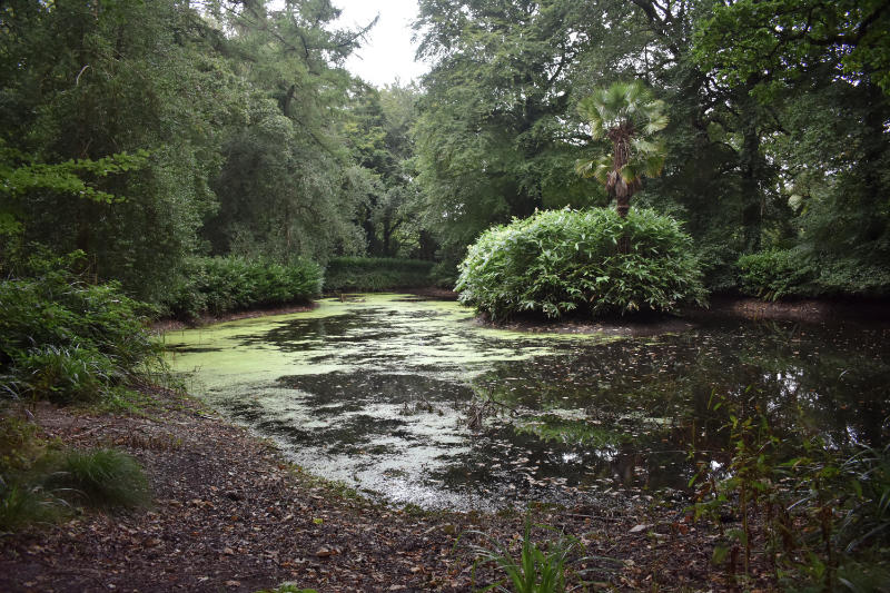 L'étang à poisson dans les jardins du château de Huntington en Irlande
